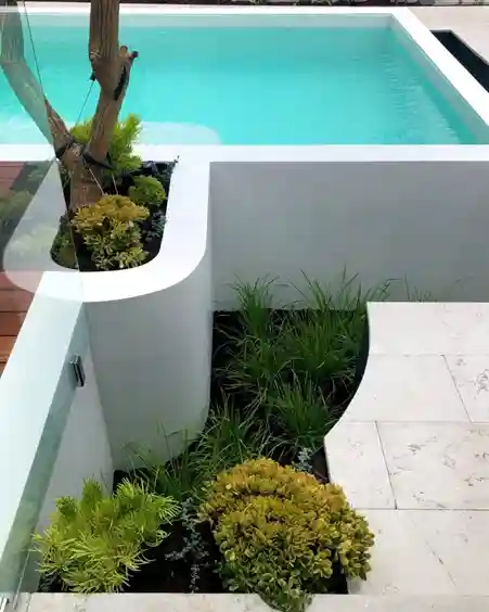 white pool and blue water with plants and tiles